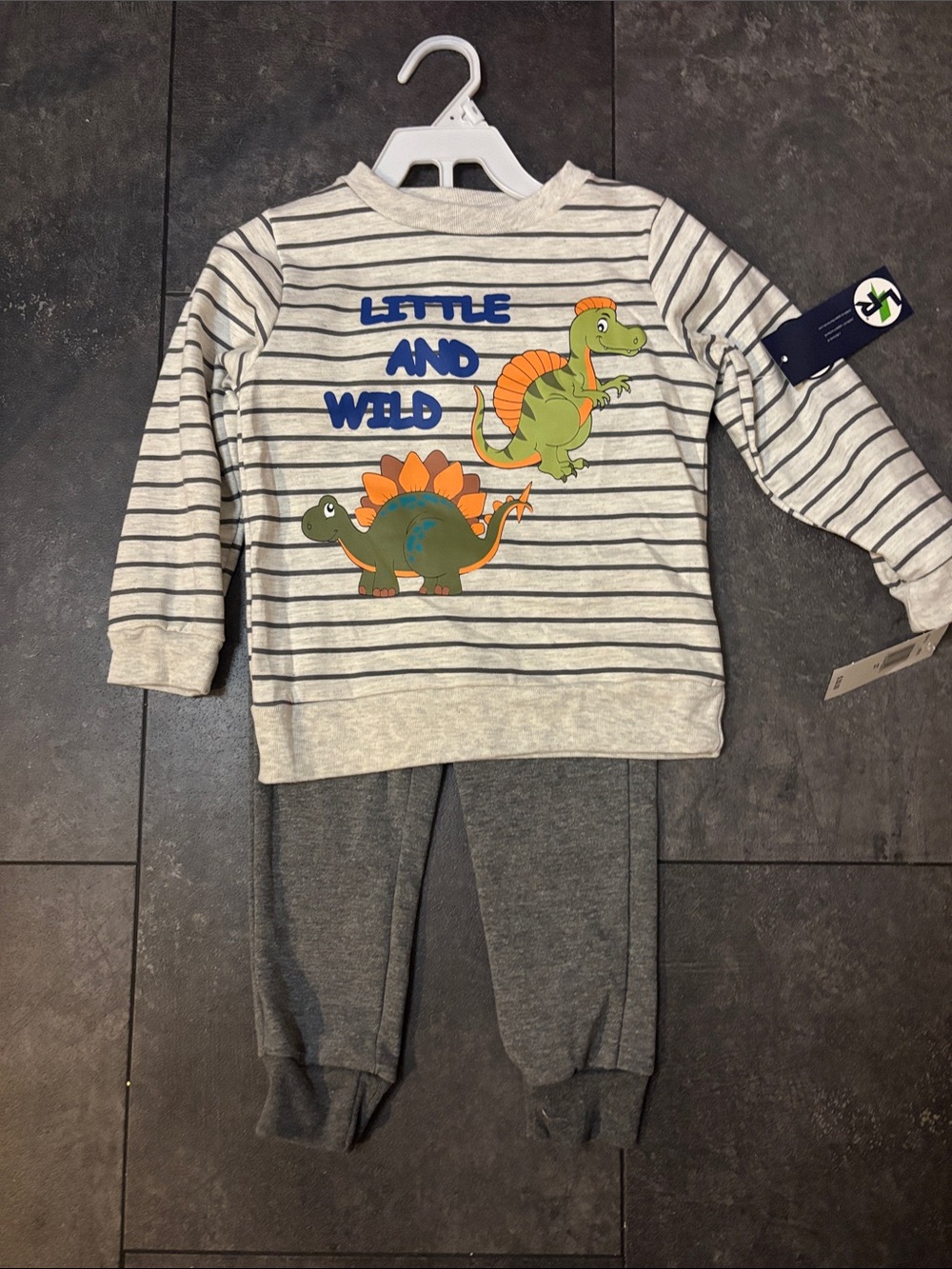 Kids' Grey Striped Pajama Set with Green Dinosaur Graphic - Little and Wild